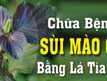 3 Cách sử dụng tốt nhất nhất