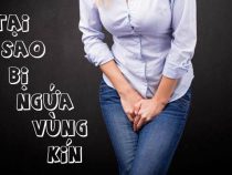 Ngứa vùng kín nữ là bệnh gì ? Triệu chứng và cách chữa hiệu quả