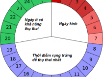 [ Cách tính ] Bảng tính chu kỳ kinh nguyệt 30 , 35 , 40 ngày !