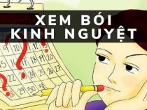 [ Bói kinh nguyệt là như thế nào ] Tất tần tận về kinh nguyệt