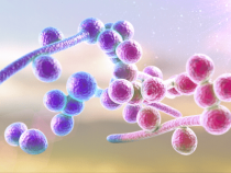 [ Giải Đáp ] Nấm Candida có tự khỏi được không và điều trị ra sao tốt nhất