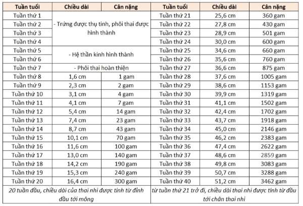 Bảng định mức cân nặng thai nhi