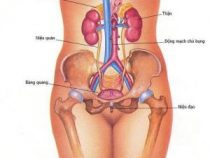 phương pháp phòng tránh viêm niệu đạo hữu hiệu – Phòng kiểm tra Hưng Thịnh
