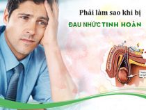 Địa chỉ điều trị đau đớn tinh hoàn uy tín ở Hà Nội – Phòng xét nghiệm Hưng Thịnh
