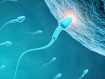 Điều trị chứng bệnh không có tinh trùng như thế nào? – Phòng thăm khám Hưng Thịnh