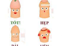 Giải đáp thắc mắc về chứng bệnh viêm bao quy đầu – Phòng kiểm tra Hưng Thịnh