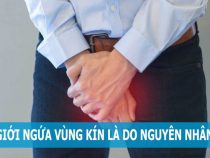 ngứa ngáy đầu dương vật ở nam giới và cách điều trị tốt nhất – Phòng thăm khám Hưng Thịnh