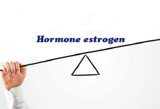 Dư thừa estrogen trong cơ thể có thể là tác nhân gây kích thích u nang vú phát triển