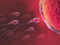 Mách nhỏ chị em phụ nữ cách tính ngày trứng rụng