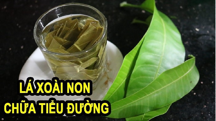 Bệnh nhân chỉ nên dùng lá xoài non chữa tiểu đường khi có chỉ định của bác sĩ