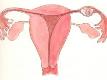 Thai ngoài tử cung là sao và có nguy hiểm không?