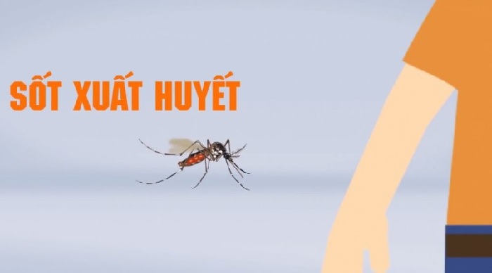 Sốt xuất huyết là căn bệnh nguy hiểm với nguy cơ biến chứng cao