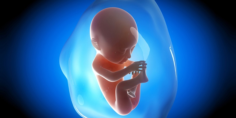 Thai nhi bị ảnh hưởng trực tiếp khi mẹ mắc tiểu đường thai kỳ