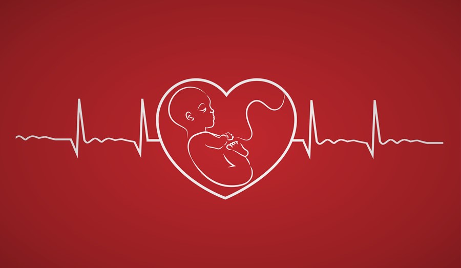 Nhịp tim bình thường của thai nhi