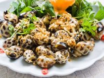 Phụ nữ có thai ăn ốc được không?