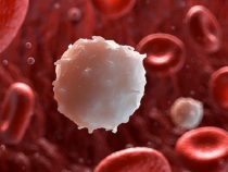 Ung thư máu có sinh con được không?