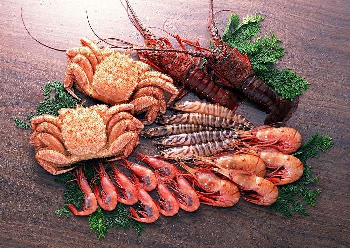 Phụ nữ đẻ mổ có được ăn tôm không