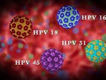 Virus HPV nguy hiểm như thế nào với chúng ta?