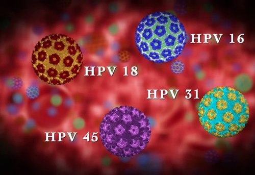 Virus HPV nguy hiểm như thế nào