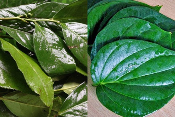 Chị em cũng có thể thu hẹp cửa mình bằng xông hơi.