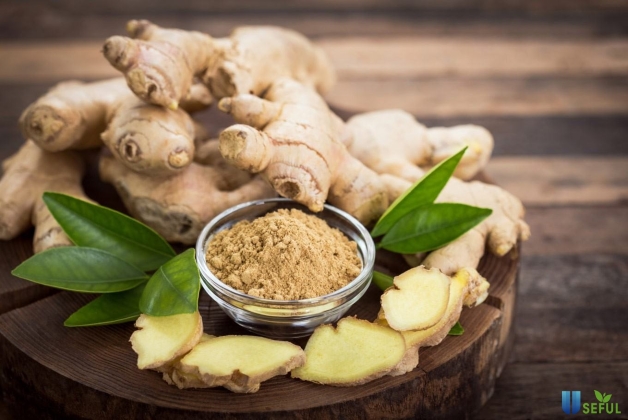 chửa ngoài tử cung kiêng ăn gì để nhanh lành