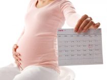 Lịch thăm khám thai 3 tháng đầu mẹ bầu không được quên