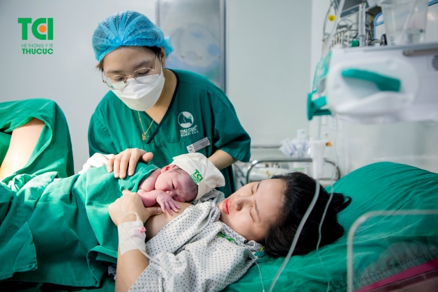 tắc tia sữa đắp lá gì