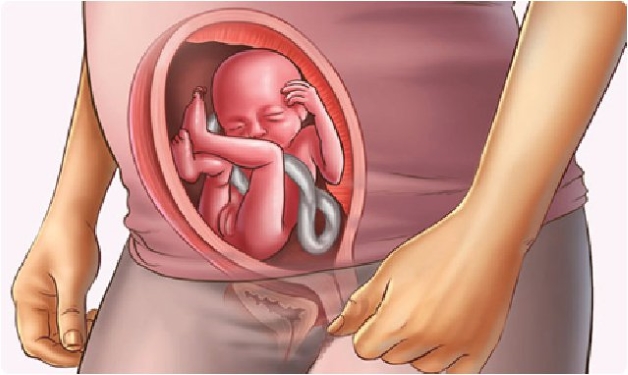 khám thai 16 tuần tuổi