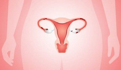 Nội mạc tử cung dày bao nhiêu là có thai?